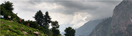 Banner Picture